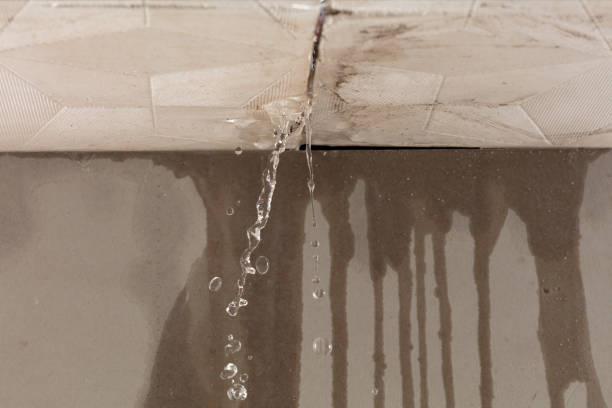 Professional Water Damage Repair technician working in Adamsville, PA